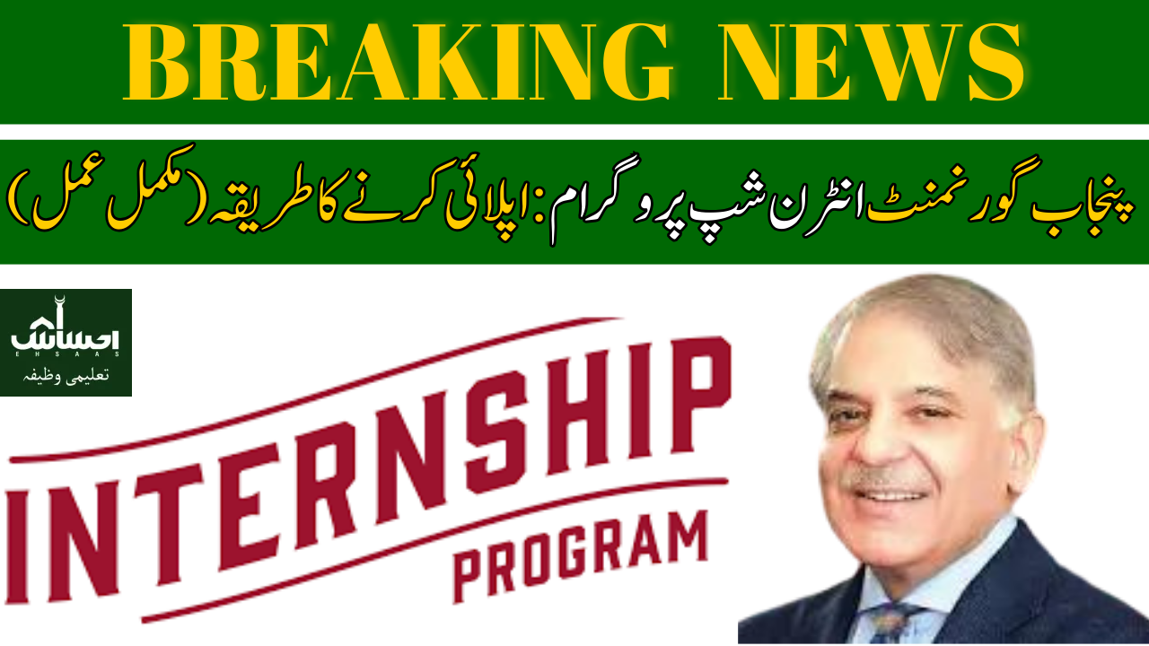 Punjab Government Internship Program