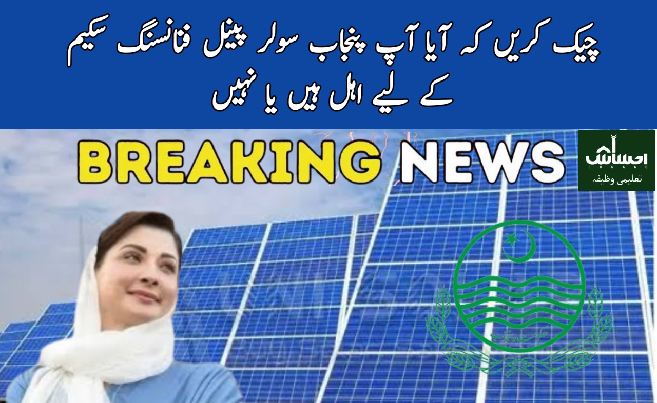 Punjab Solar Panel Financing Scheme