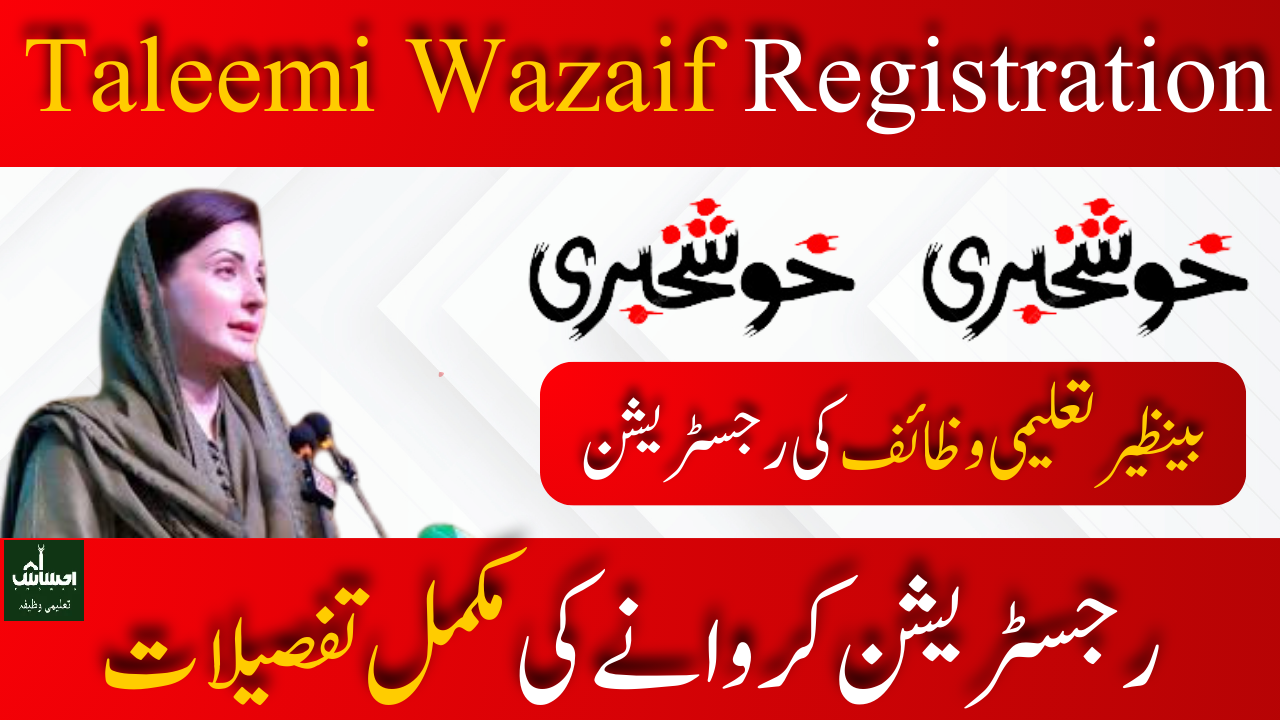 The Benazir Education Scholarship Program