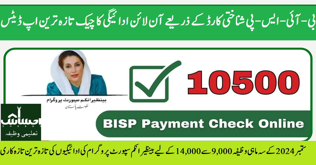 bisp payment check